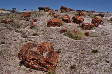 bad days rving petrified forest national park
