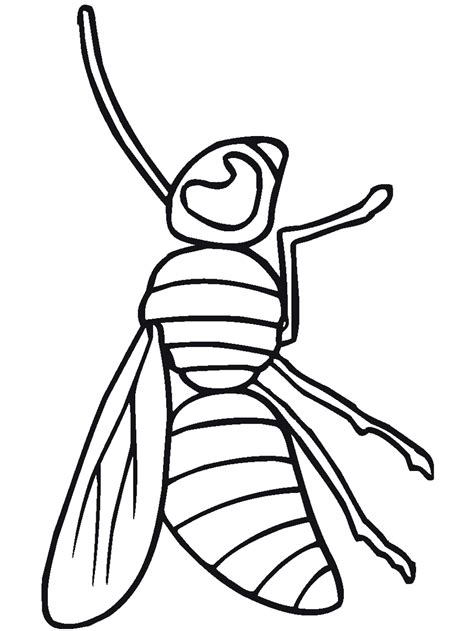 bug insect coloring pages primarygamescom