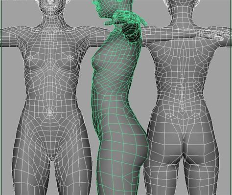 torsowire2005 920×777 3d モデル モデリング 人体