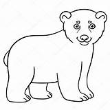 Polar Bear Coloring Baby Cute Pages Little Stock Illustration Vector Drawing Smiles Getdrawings Mayka Ya Depositphotos sketch template