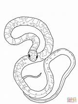 Mamba Coloring Pages Snake Color Printable sketch template