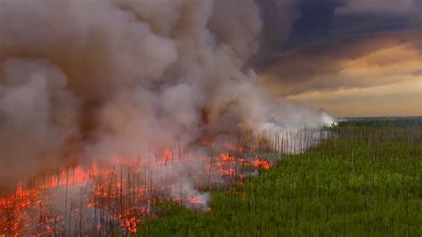 amazon forest fire brazil deadly impact  climate change  hoard planet