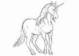 Unicorn Coloring Pages Horses Comment Logged Must Post sketch template