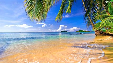 islands tropical sea palms beaches beautiful views wallpapers