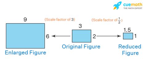 write scale factor infolearners