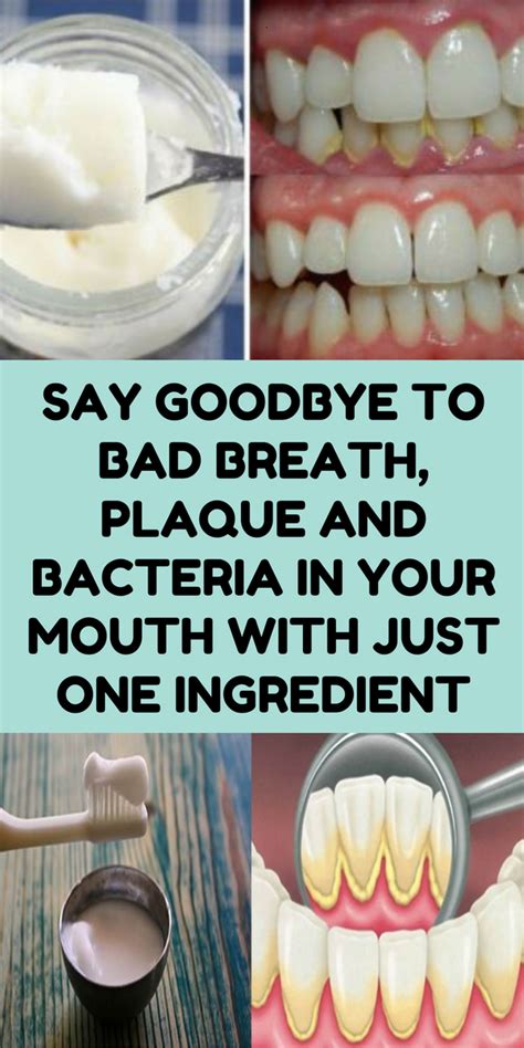 say goodbye to bad breath plaque and bacteria in your mouth with just