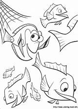 Nemo Mewarnai Ikan Mengenai Bermanfaat Semoga Demikianlah Terimakasih sketch template