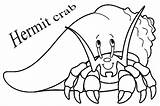 Crab Hermit Coloring Pages Printable Horseshoe Drawing Clip Cartoon Color Sebastian Cliparts Cool2bkids Getcolorings Colouring Getdrawings Kids Clipart Ocean Print sketch template