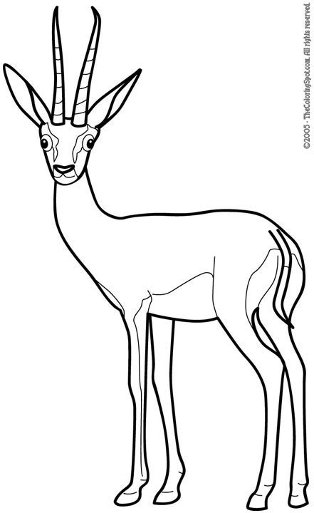 gazelle audio stories  kids  coloring pages colouring