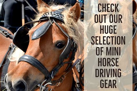 leather horse driving harness set  items  brass fittings tack wholesale