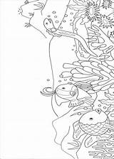 Kleurplaten Zee Mooiste Kleurplaat Vis Arcobaleno Regenbogenfisch Pesce Arco Colorat Arcoiris Ciel Pez Guizzino Curcubeu Peixe Pesci Desene Ninos Sequenze sketch template