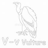 Coloring Vulture Unicorn Including English Name Illustration sketch template