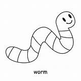 Worm sketch template