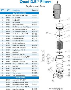 pentair quad de  filter cartridge style