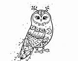 Owl Barn Coloring Winter Coloringcrew sketch template
