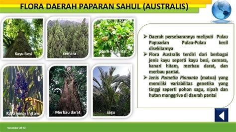 gambar persebaran flora fauna indonesia geografi gambar bagian tengah
