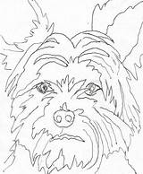 Yorkie Coloring Pages Puppy Printable Color Getcolorings Print Getdrawings Line Drawing sketch template