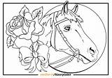 Paarden Paard Volwassenen Paardenhoofd Uitprinten Honden Het Kleuren Downloaden Vliegend Terborg600 sketch template