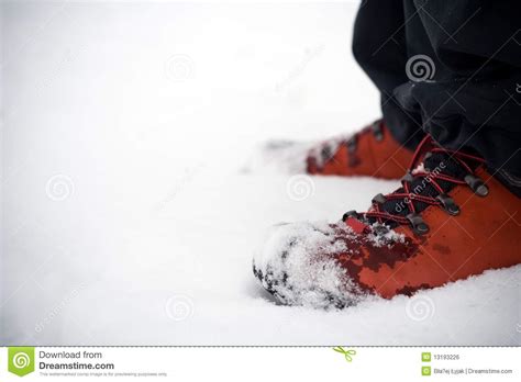 hiking shoes  snow stock photo image  foot footprint