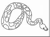 Snake Garter Coloring Pages Getdrawings Drawing sketch template