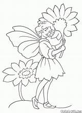 Colorare Coloring Fairy Disegni Fata Fairies Hadas Malvorlagen Hada Fada Elves Colorkid Elfi Blumen Bambini Feen Elfen Duendes Prato Fiore sketch template