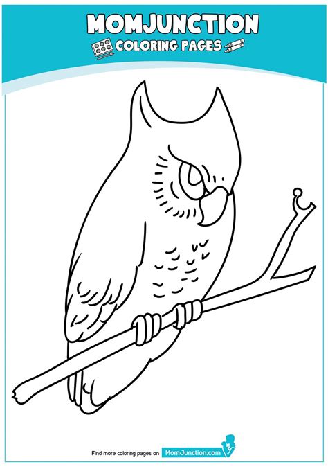 coloring page coloring pages owl coloring pages cartoon coloring pages