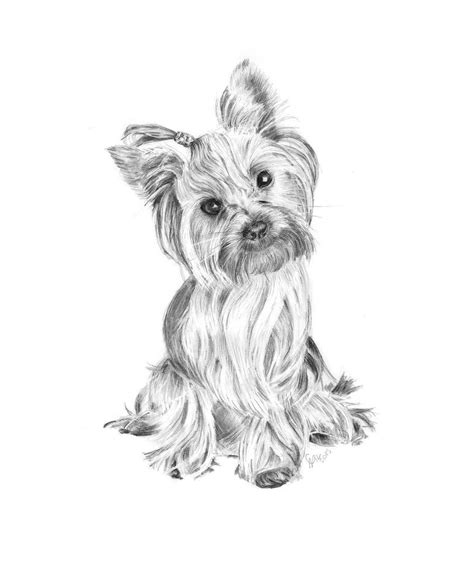 drawing   small dog sitting  top   white surface