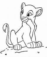 Coloring Lion Baby Pages Printable Popular sketch template