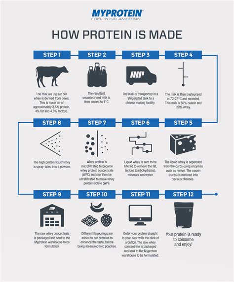 myprotein explains  protein   infographic