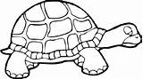Tortoise Coloriage Imprimer Tortue Prek Tortues Coloringbay Clipartmag Bestappsforkids Migrate Adults sketch template
