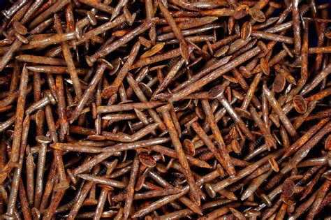 premium photo rusty nail  rusted nails group  iron rust metal