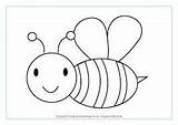 Bees Minibeast Minibeasts Buzzy Activityvillage sketch template