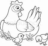 Hen Coloring Chicks Vector Mother Baby Its Colourbox sketch template