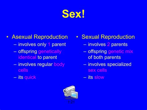 Asexual And Sexual Reproduction