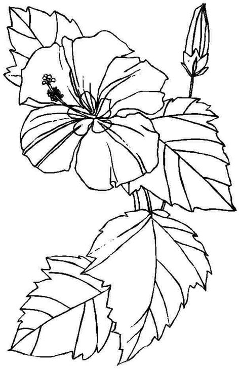 downloadable coloring pages  kids