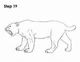 Smilodon Coloring Pages Draw Saber Tooth Sketch Template sketch template