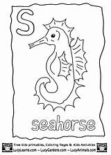 Seahorse Seepferdchen Malvorlagen Ausmalbild Coloringhome Letzte sketch template