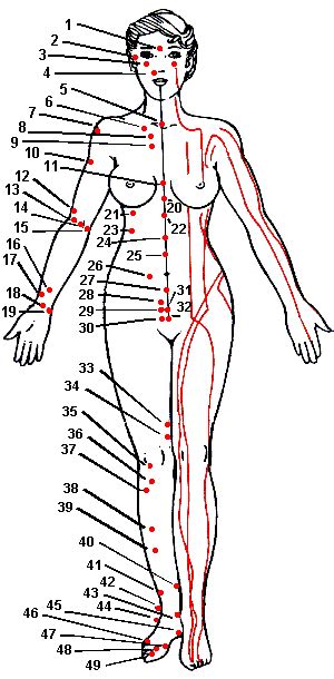 acupuncture charts