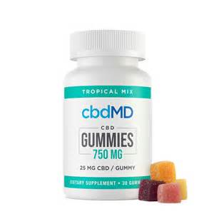 cbd gummies  mg  count cbd products