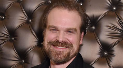 David Harbour Bio – Hollywood Life