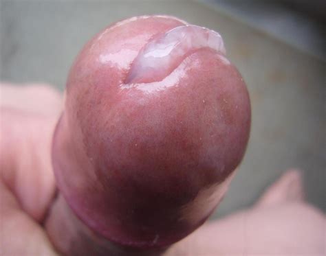 close up penis head glans cum