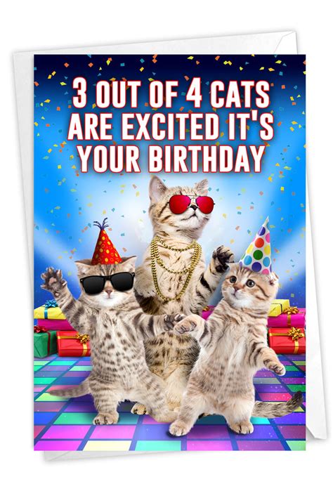cat joke birthday cards cat meme stock pictures