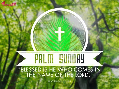 palm sunday blessed          lord pictures
