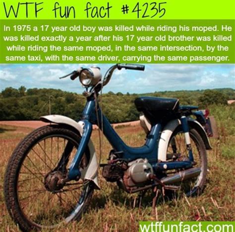 wtf fun fact wow wtf fun facts scary facts weird facts
