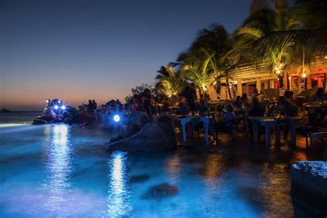 aruba restaurants restaurant reviews by 10best