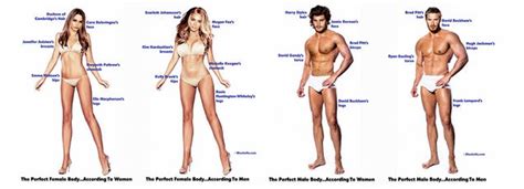 Here Are The Perfect Male And Female Bodies According To