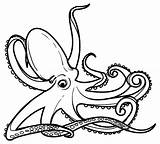 Gurita Gambar Mewarnai Laut Binatang Putri Putra Anak Lucu sketch template