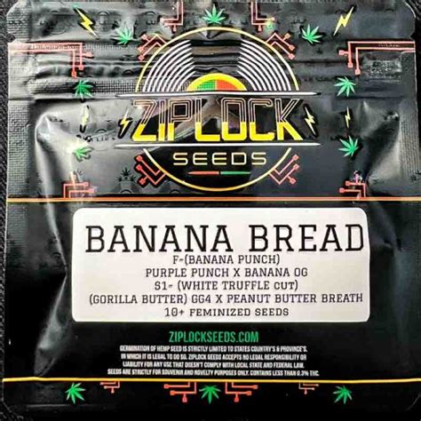 Ziplock Seeds Banana Bread 10 Feminized Seeds Hembra Genetics
