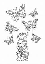 Coloring Pages Cat Butterfly Butterflies Colouring Adult Animal Kittens Books Book Printable Fler Cz sketch template