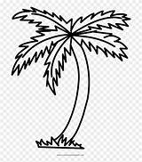 Tree Palm Coloring Clipart Palmeira Colorir Para Pinclipart sketch template